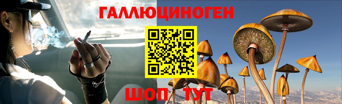 Галлюциногенные грибы ЛСД  Вход с VPN  закладка  Белореченск  Псилоцибиновые грибы MAGIC MUSHROOMS 